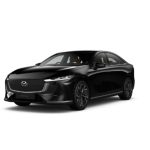 Jet Black Mica