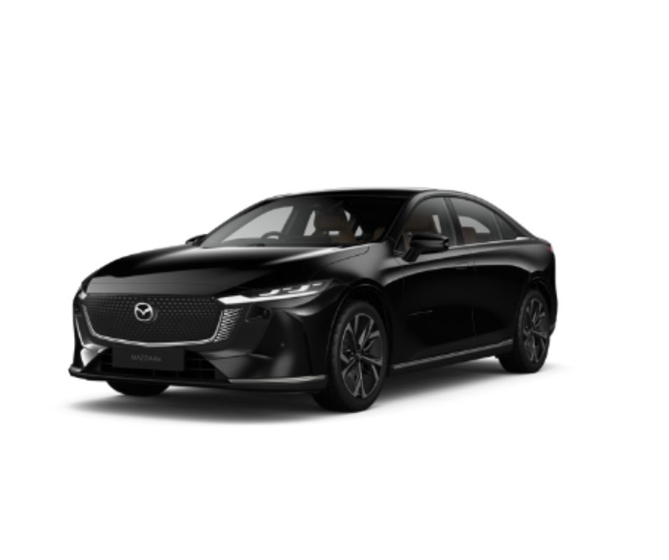 Jet Black Mica